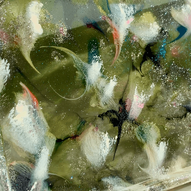 Plateau « cerfs volants « 
