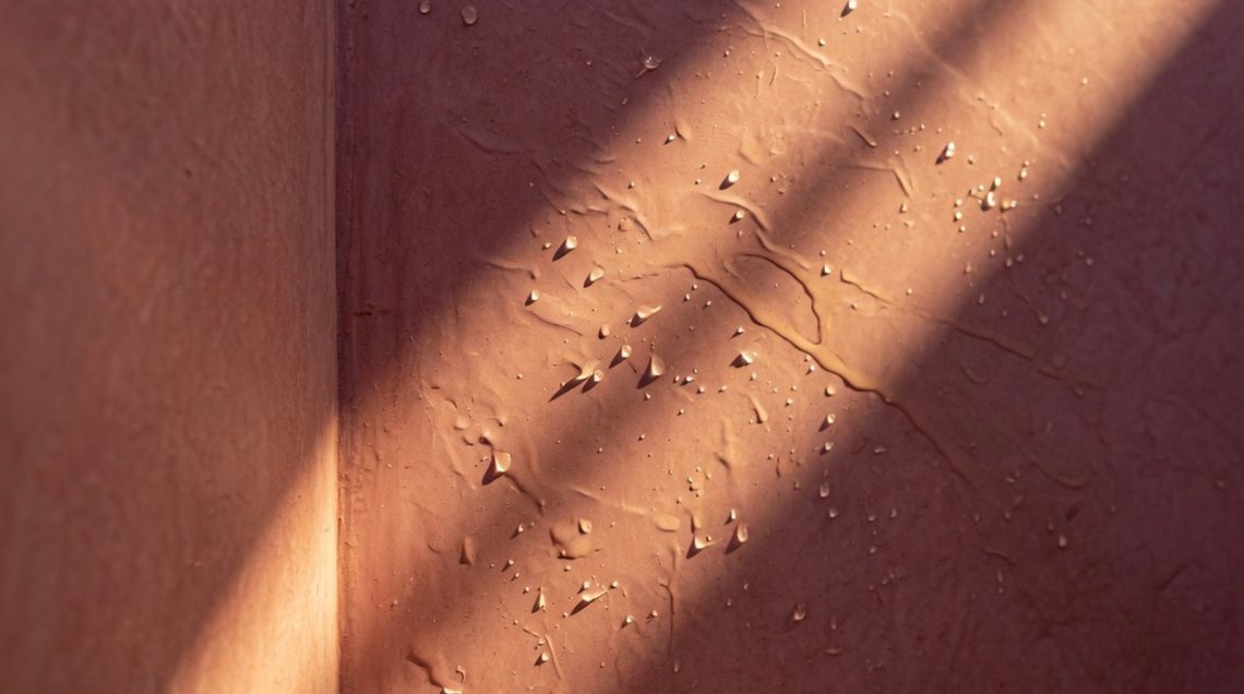 hero-7 Tadelakt dans alcôve de douche, marques de truelle visibles en lumière rasante, poli irrégulier, teinte terracotta.